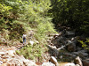 p5200362_thumb.jpg