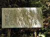 p5200378_thumb.jpg