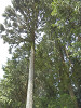 p5200396_thumb.jpg