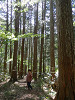 p5210427_thumb.jpg