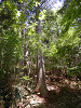 p5210430_thumb.jpg