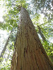 p5210435_thumb.jpg
