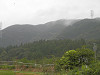 p7060002_thumb.jpg