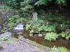 p7060007_thumb.jpg