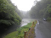 p7060020_thumb.jpg