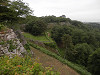 p7070106_thumb.jpg