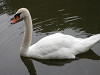 p7070112_thumb.jpg