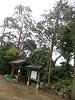 p7070147_thumb.jpg