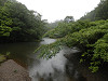 p7070158_thumb.jpg
