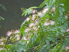 p7070163_thumb.jpg