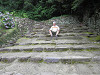 p7080200_thumb.jpg