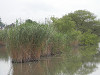 p7080226_thumb.jpg