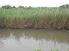 p7080228_thumb.jpg