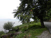 p7080235_thumb.jpg