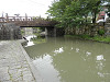 p7080249_thumb.jpg
