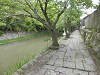 p7080250_thumb.jpg
