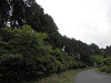 p7080285_thumb.jpg