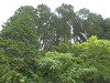 p7080286_thumb.jpg