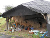 p7090306_thumb.jpg