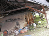 p7090309_thumb.jpg