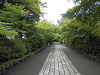 p7090334_thumb.jpg