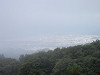 p7100457_thumb.jpg