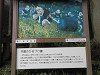 p7100465_thumb.jpg
