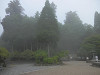 p7100467_thumb.jpg