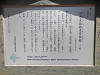 p7100517_thumb.jpg