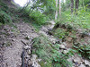 p7100552_thumb.jpg