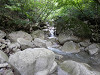 p7100559_thumb.jpg