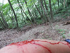 p7100564_thumb.jpg
