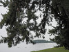 p7110589_thumb.jpg