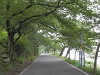 p7110600_thumb.jpg