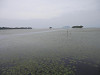 p7110603_thumb.jpg