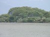 p7110605_thumb.jpg