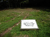 p7110614_thumb.jpg