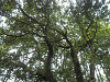 p7110635_thumb.jpg
