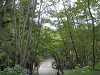 p7130764_thumb.jpg