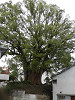 p7130779_thumb.jpg