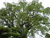 p7130785_thumb.jpg
