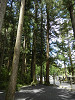 p7130818_thumb.jpg