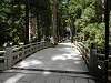 p7130826_thumb.jpg