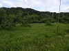 p7130868_thumb.jpg