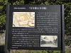 p7140896_thumb.jpg