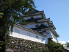 p7140899_thumb.jpg