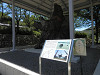p7140960_thumb.jpg