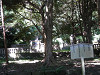 p7140996_thumb.jpg