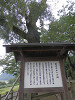 p7280011_thumb.jpg