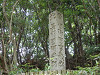 p7290151_thumb.jpg